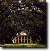 Oak Alley